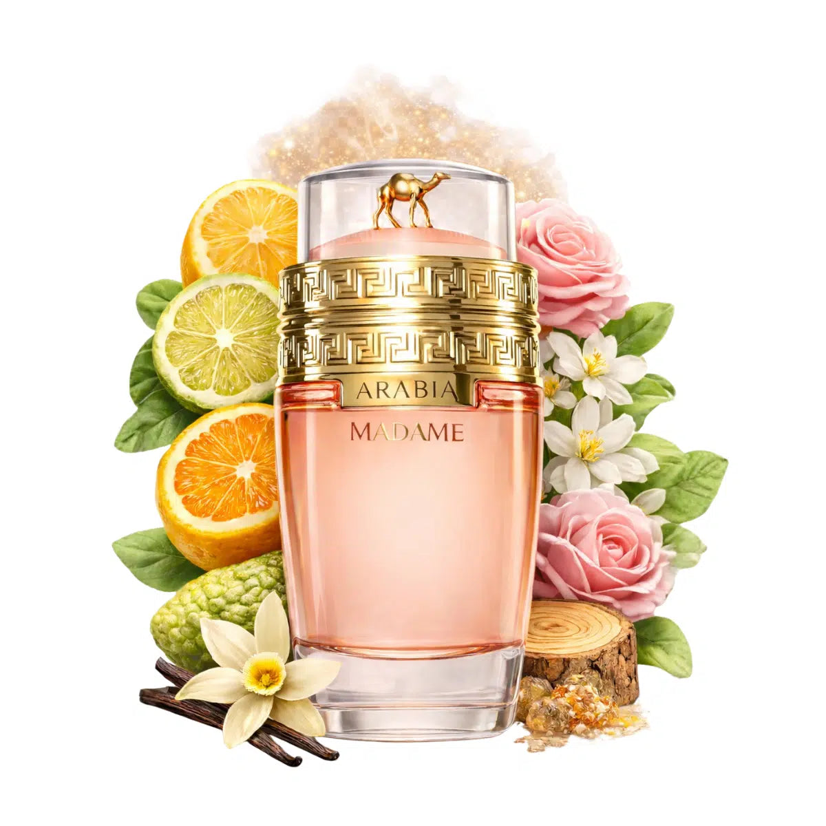 BLOCK36: TESTER Le Chameau Arabia Madame 100ml