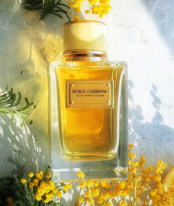 BLOCK36: PROFUMO DI NICCHIA DOLCE & GABBANA VELVET MIMOSA BLOOM DONNA 50 MLL