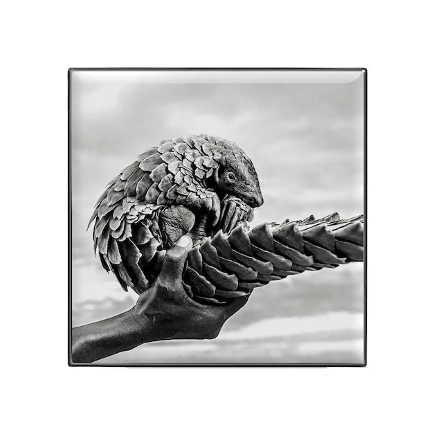 BLOCK36: OMBRETTO CHANTECAILLE LUMINESCENT EYE SHADE PANGOLIN AFRICA'S VANISHING SPECIES DUSKY LILAC